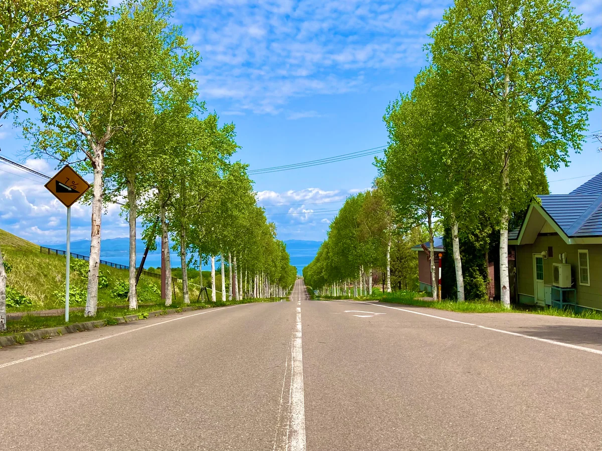 投稿写真：パノラマロード