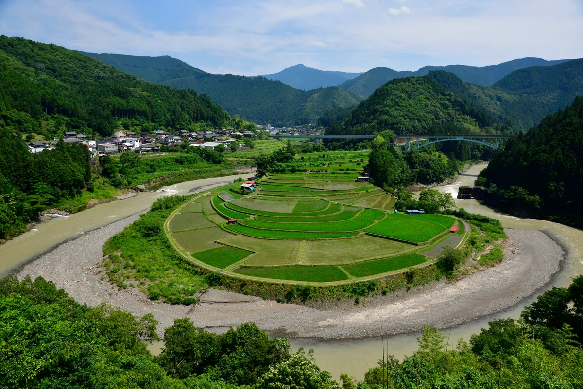 投稿写真：あらぎ島