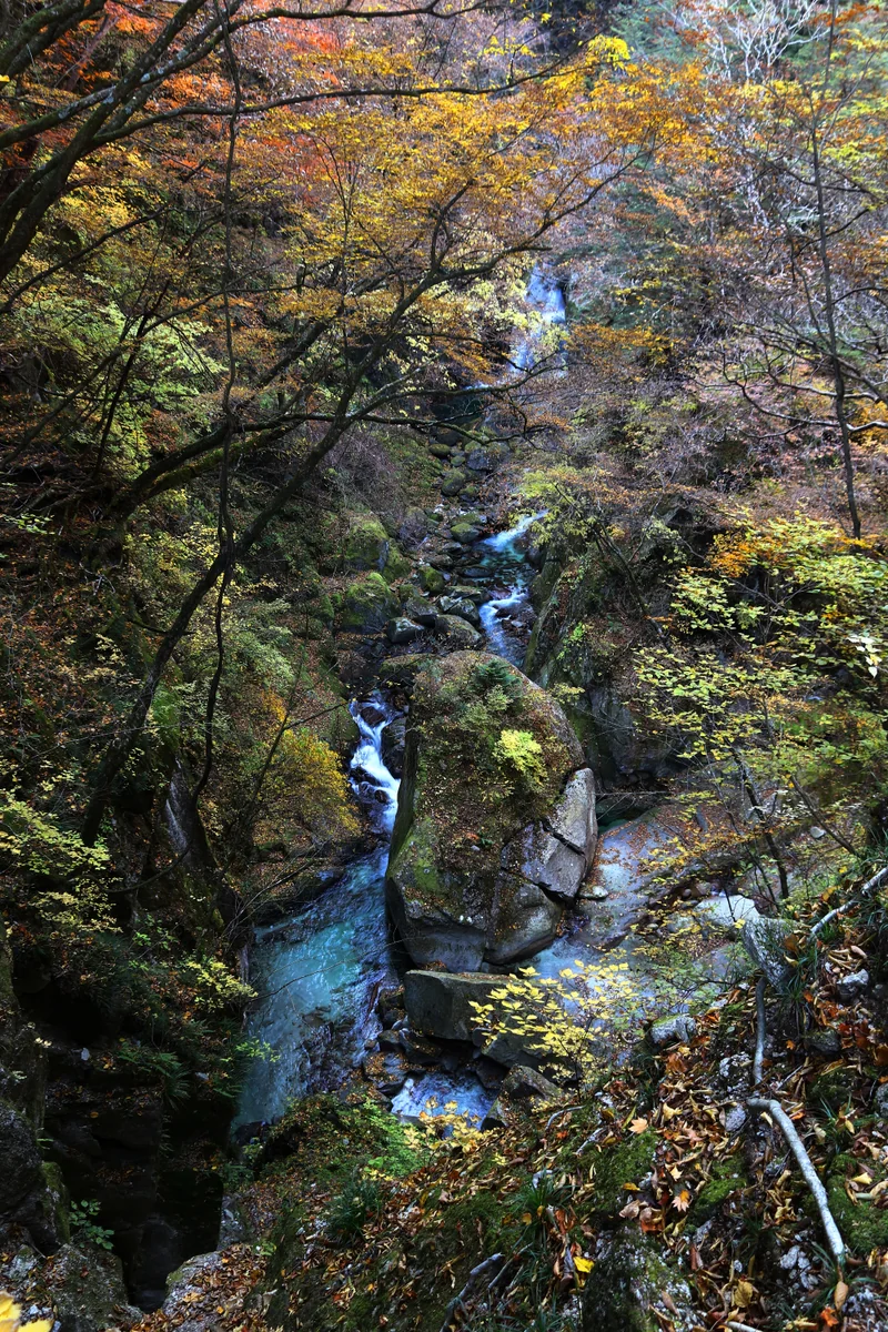投稿写真：尾白川渓谷