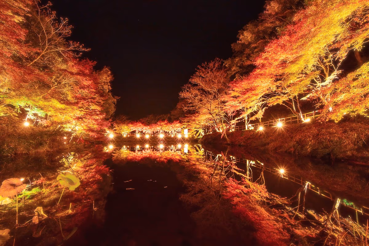投稿写真：紅葉