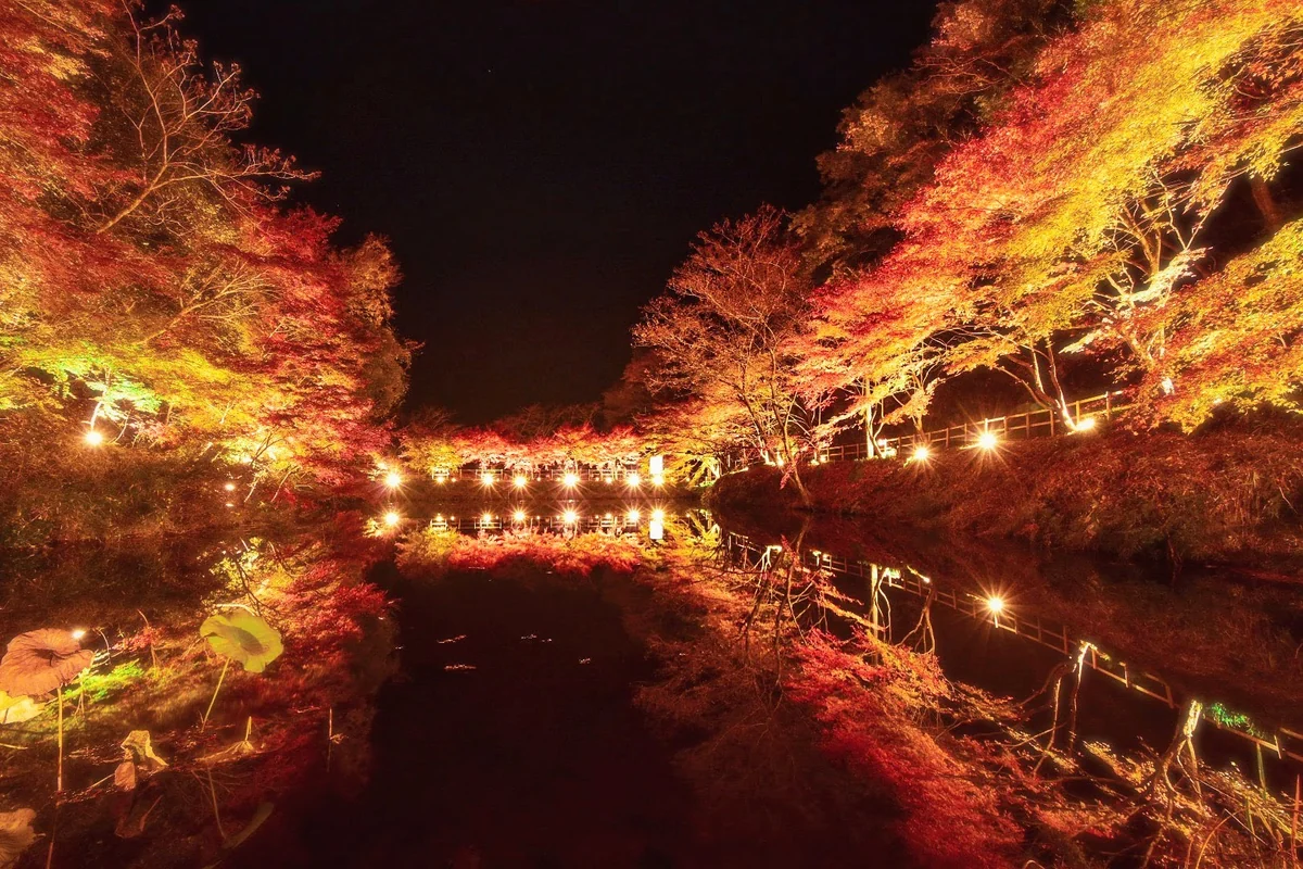 投稿写真：紅葉