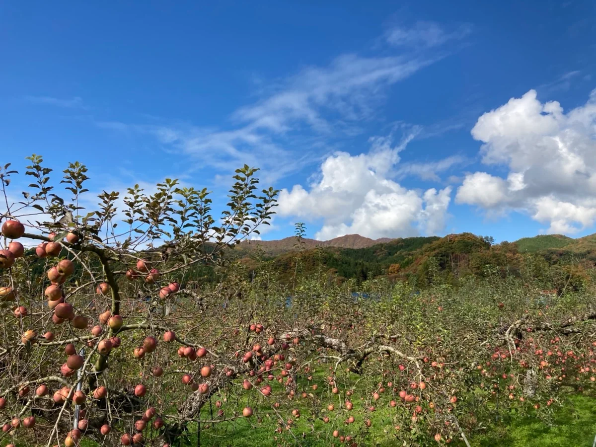 投稿写真：秋の景色