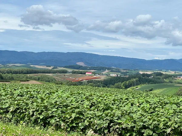 投稿：四季彩の丘
