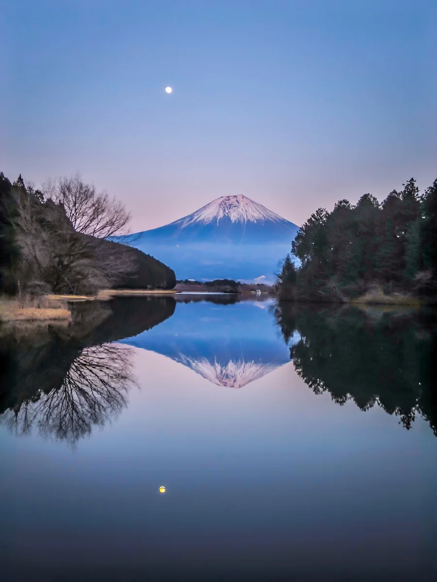 投稿写真：ビーナスベルトの中の月と薄紅富士