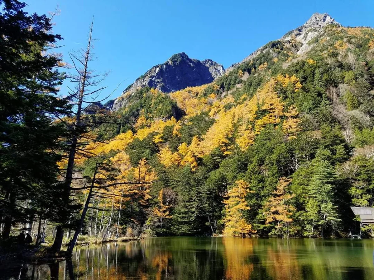 投稿写真：上高地　明神池