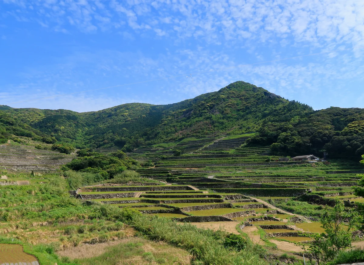 投稿写真：春日の棚田
