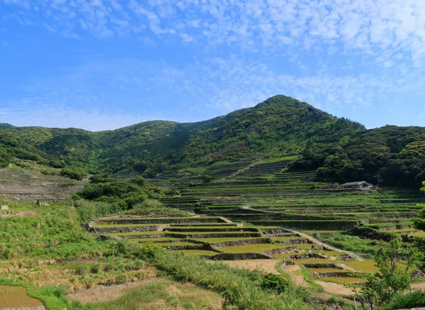 投稿：春日の棚田