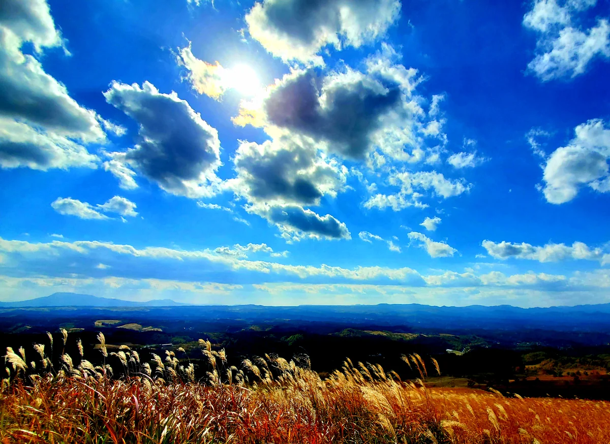 投稿写真：小萩山の空