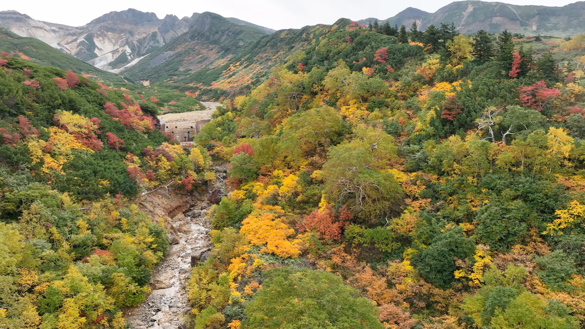 投稿写真：十勝岳温泉郷と紅葉