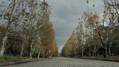  | 絶景事典