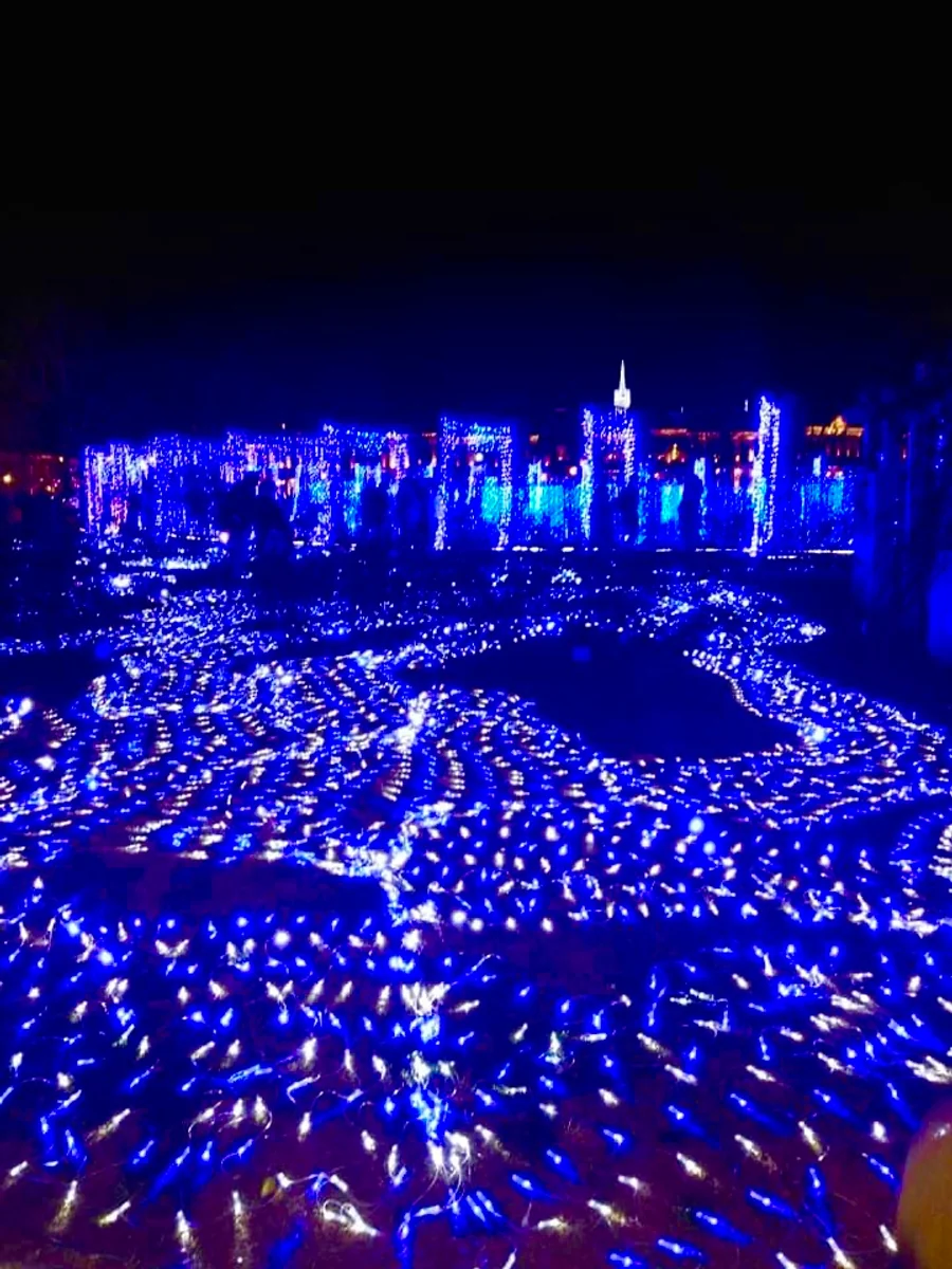 投稿写真：まさしく光の海byハウステンボス