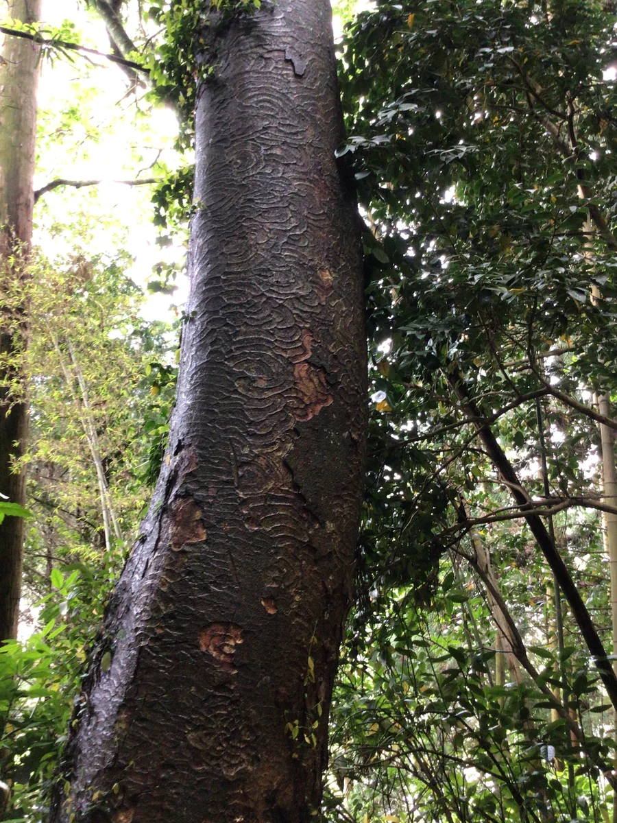 投稿写真：厳かな空間