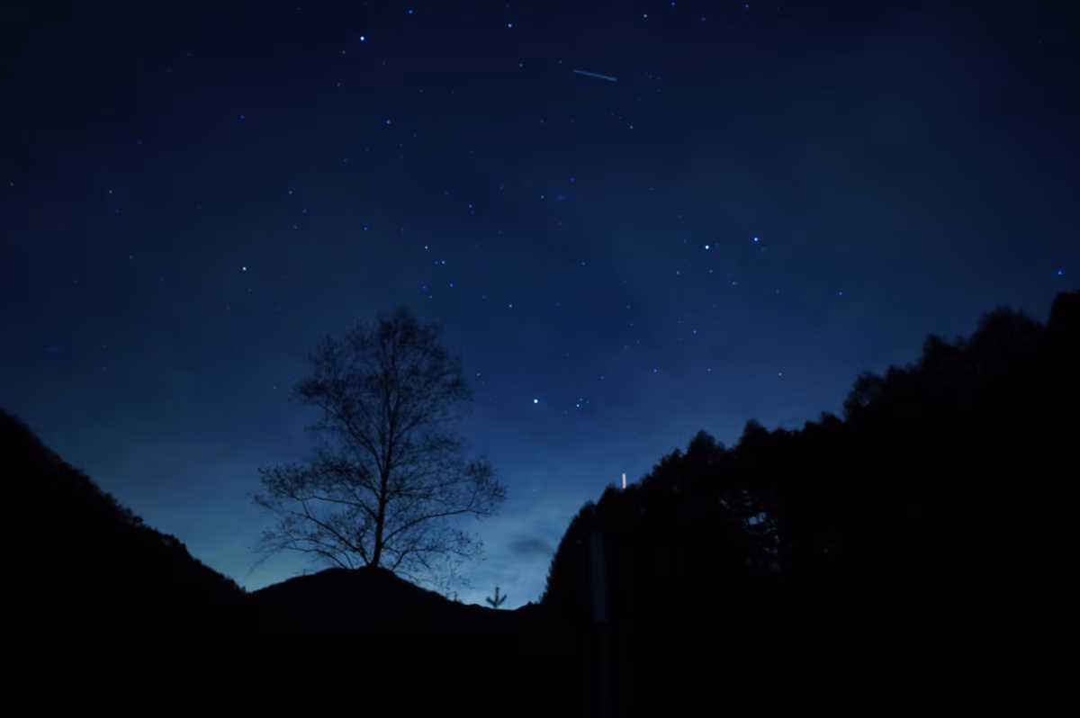 投稿写真：阿智村⭐️日本一の星空