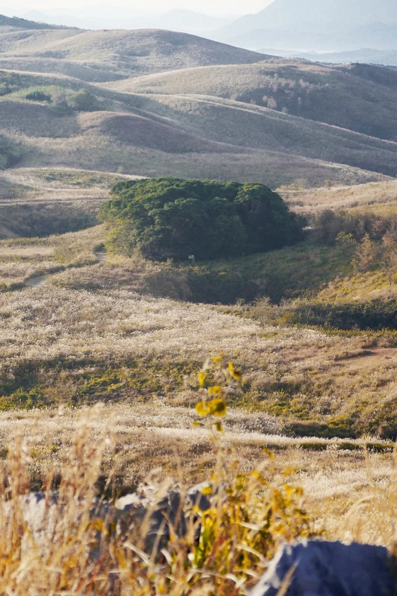 投稿写真：長者ヶ森