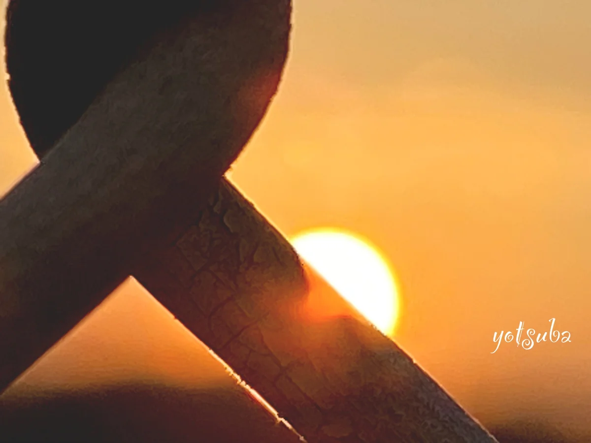 投稿写真：フェンス越しの夕陽