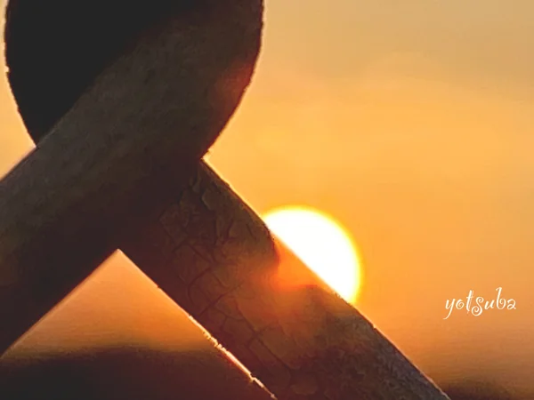 投稿：フェンス越しの夕陽