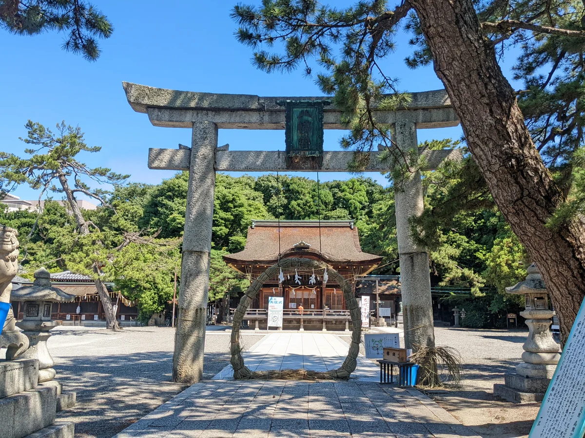 投稿写真：長濱八幡宮　茅の輪