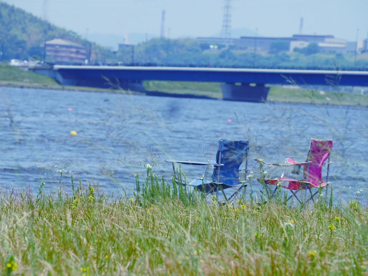 投稿写真：芦田川 ボートコース