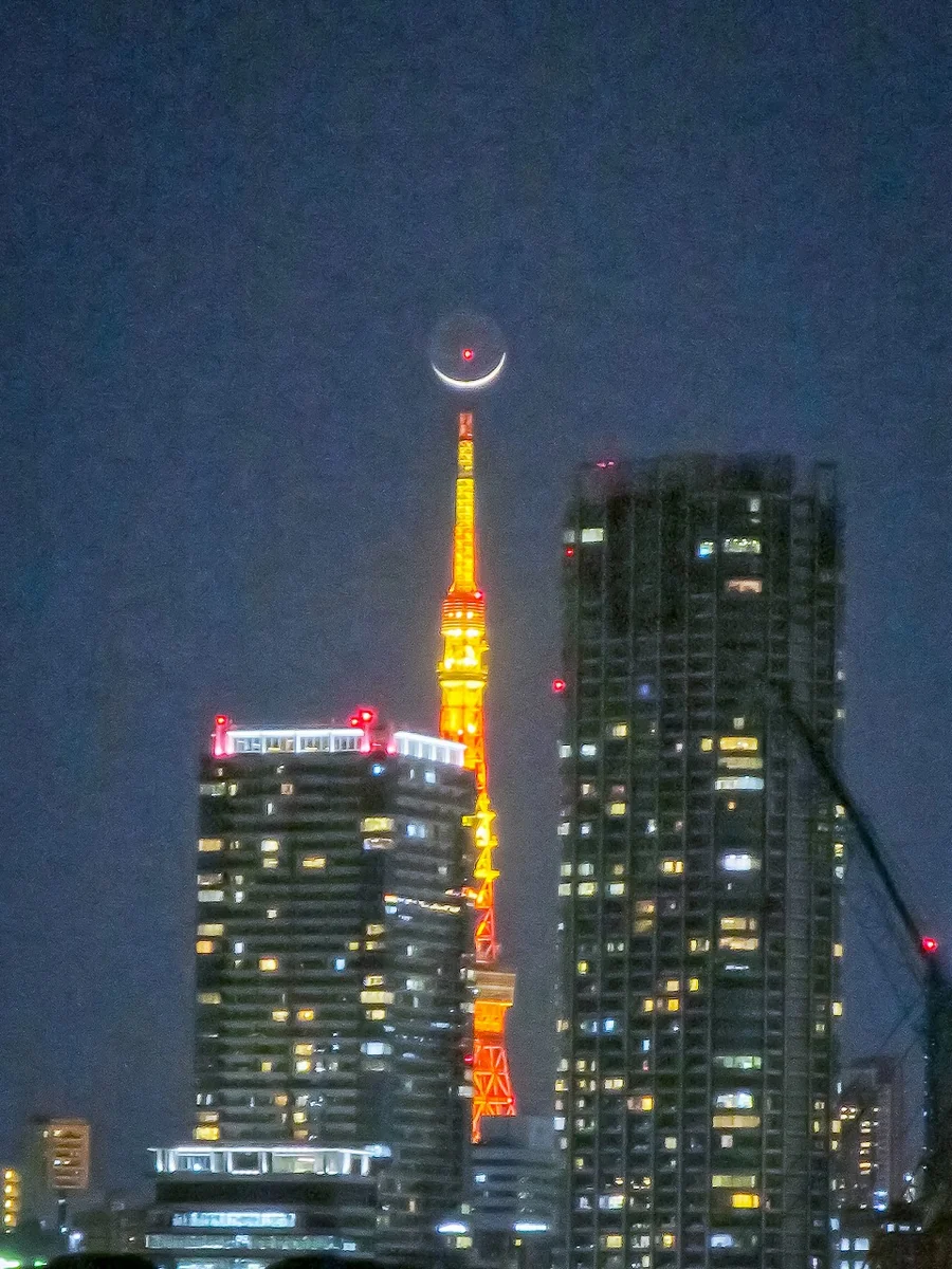 投稿写真：三日月パール東京タワー