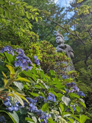  | 絶景事典