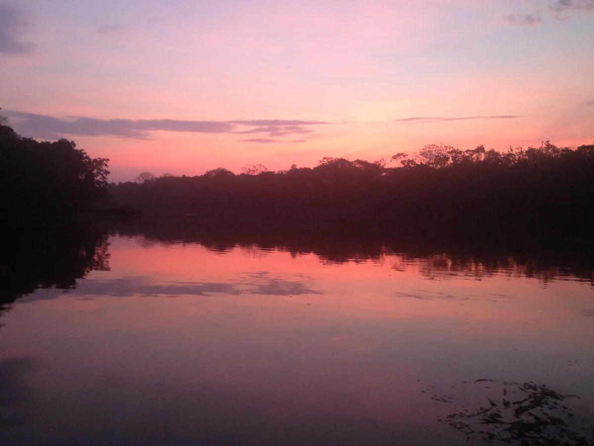 投稿写真：アマゾン川の朝靄