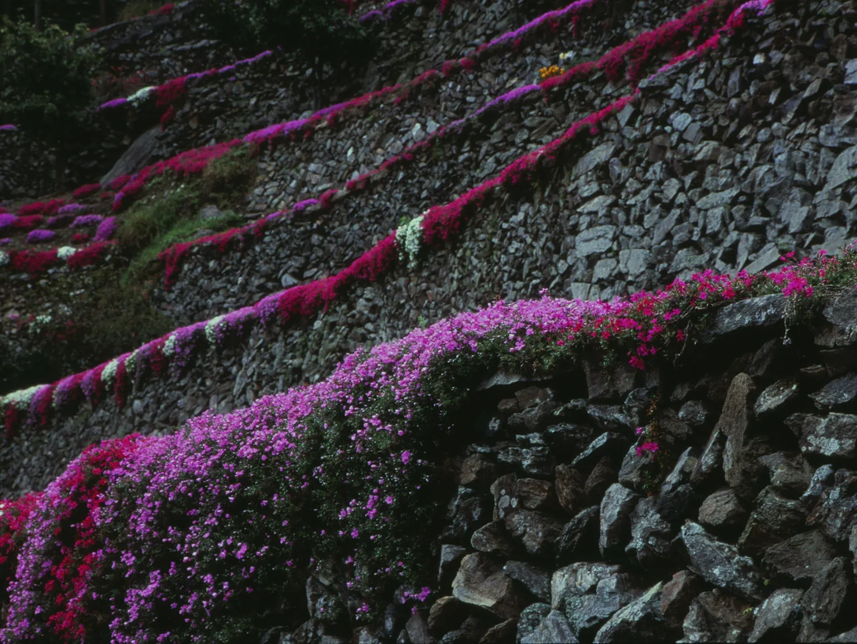 投稿写真：日本のマチュピチュ