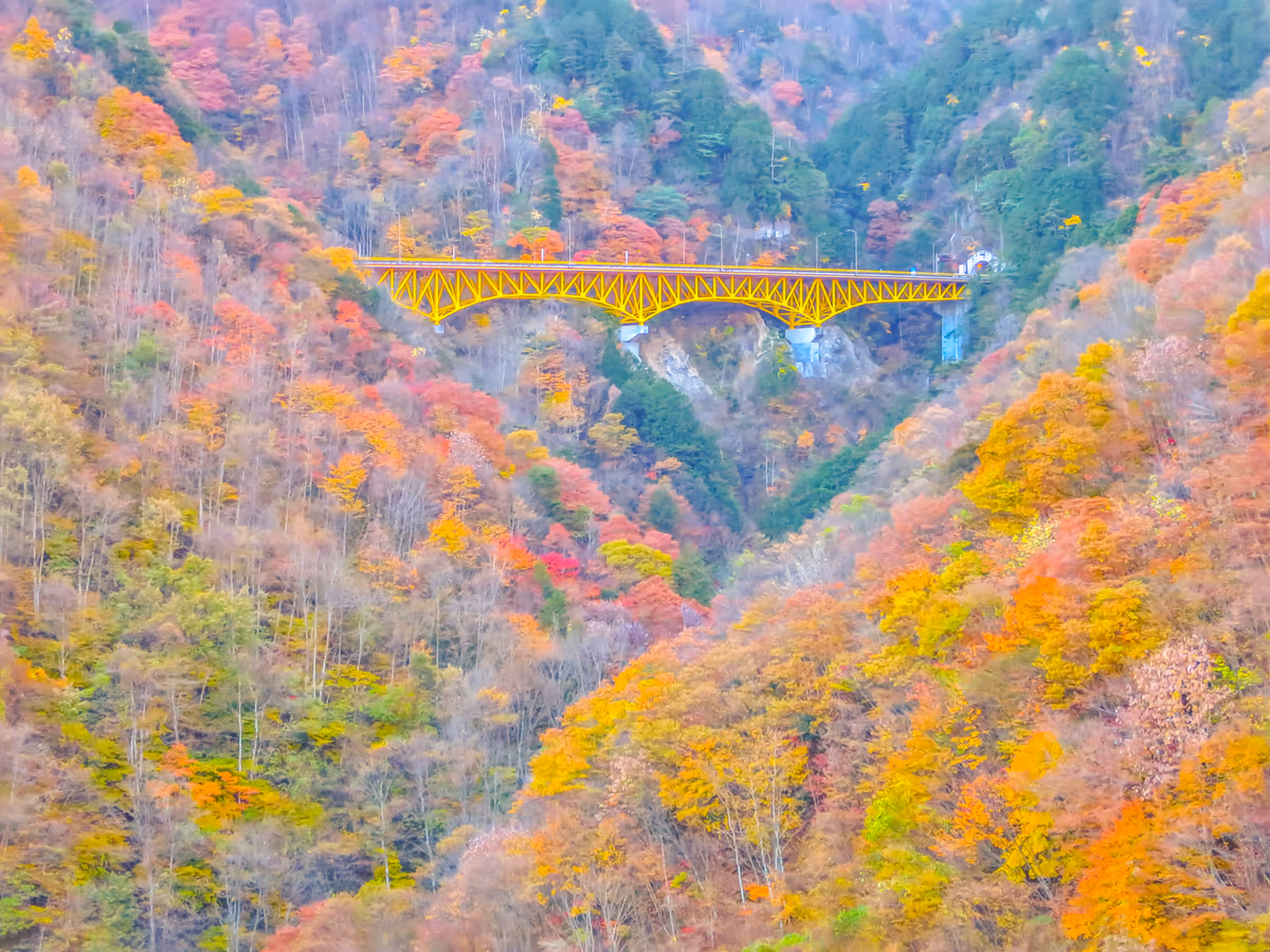 投稿写真：錦繍のＶ字谷と雁坂大橋