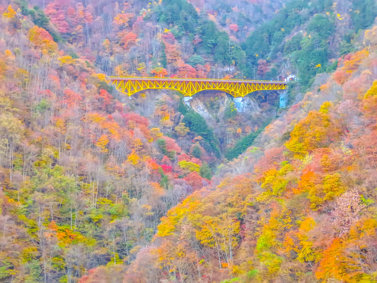 投稿写真：錦繍のＶ字谷と雁坂大橋