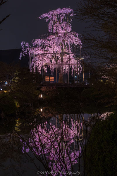  | 絶景事典