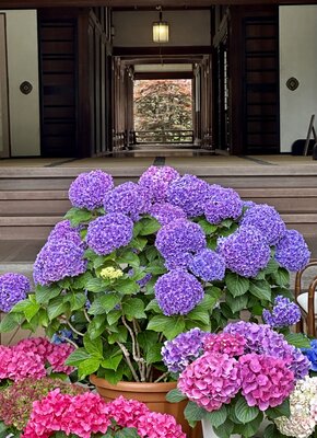  | 絶景事典
