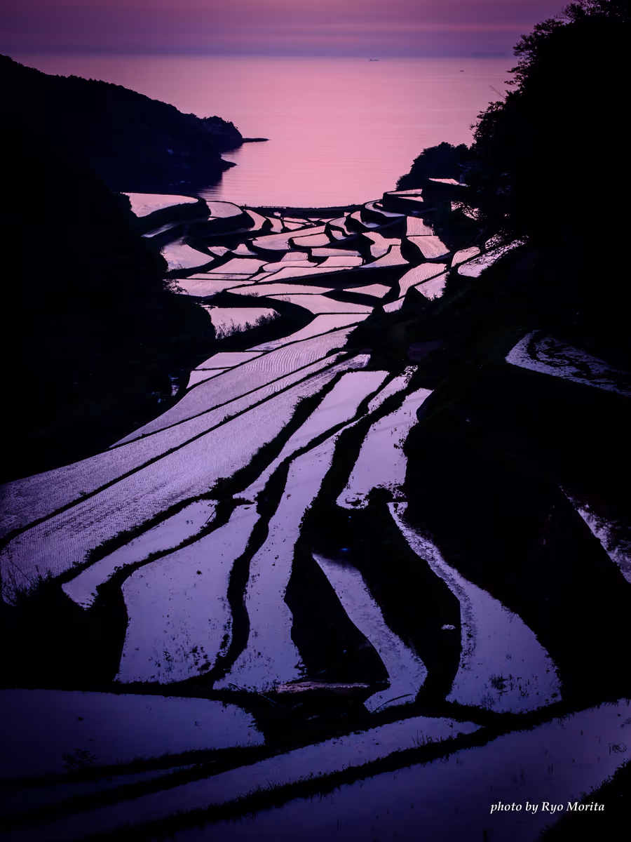 投稿写真：浜野浦の棚田‬