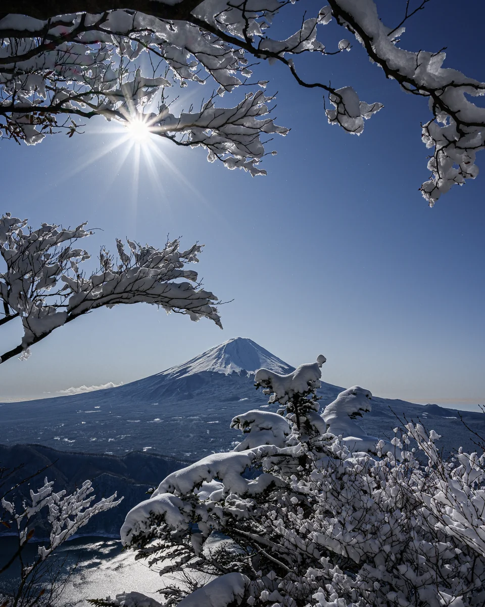 バローズすぎるさんの投稿写真