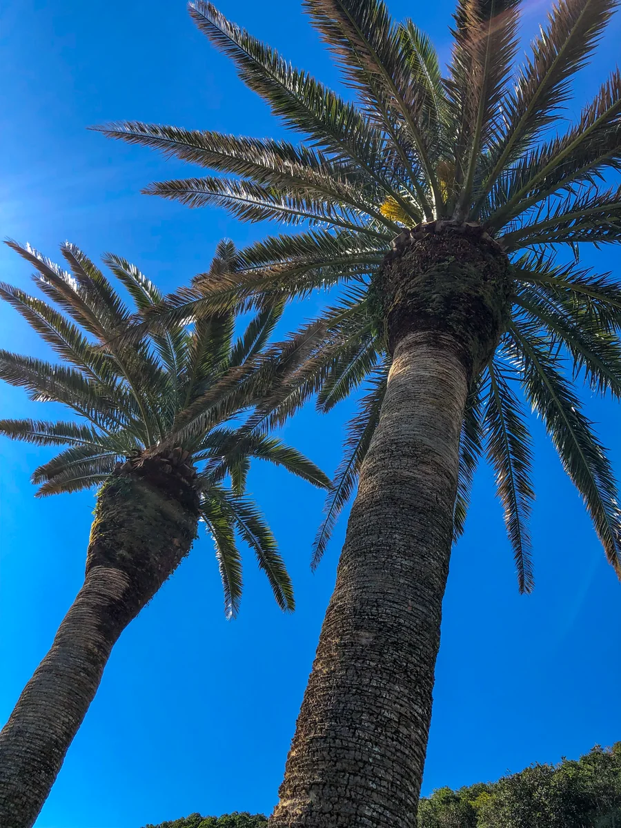 投稿写真：宮崎の空