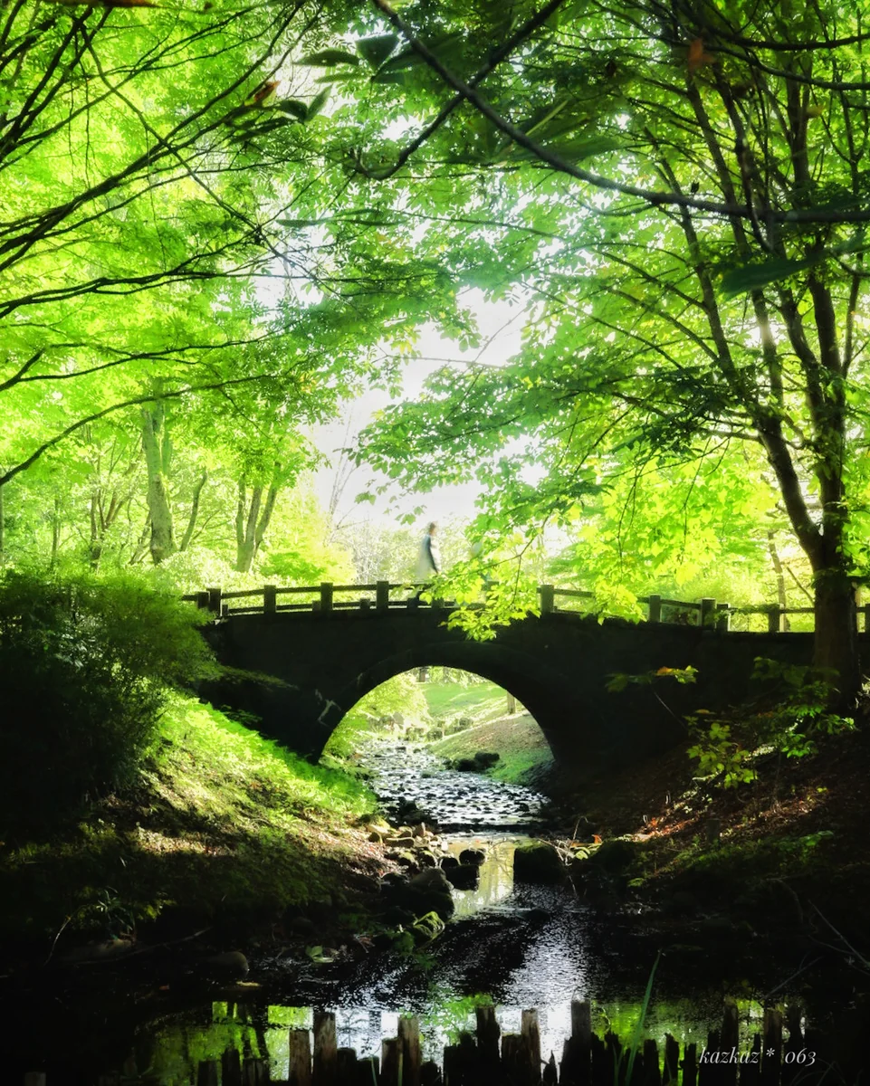 投稿写真：walking 〜 雨上がりの散歩