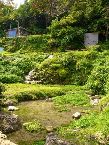 投稿：垣花樋川