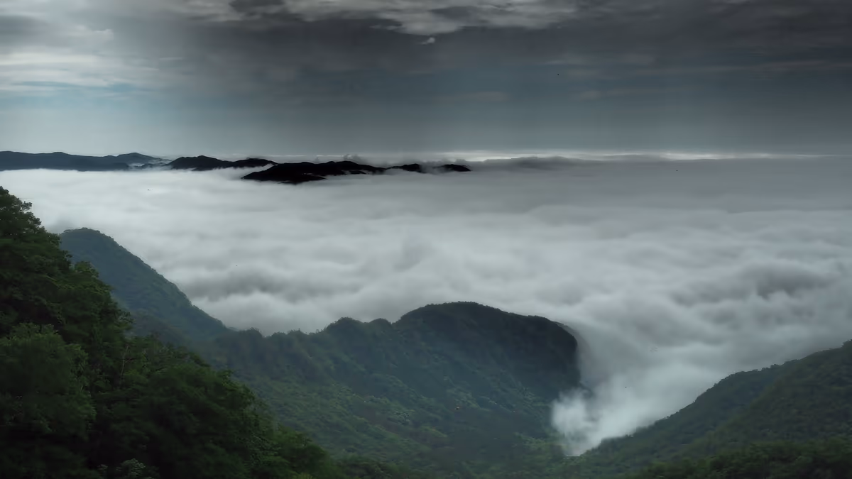 投稿写真：雲海