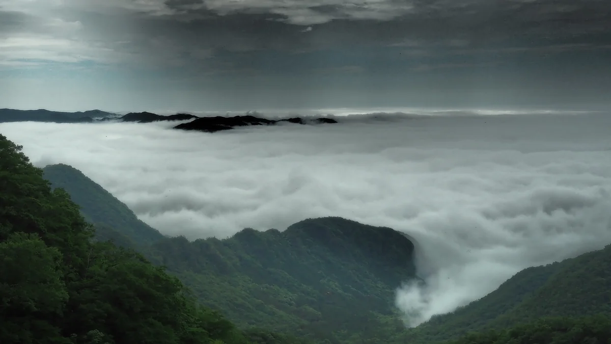 投稿写真：雲海