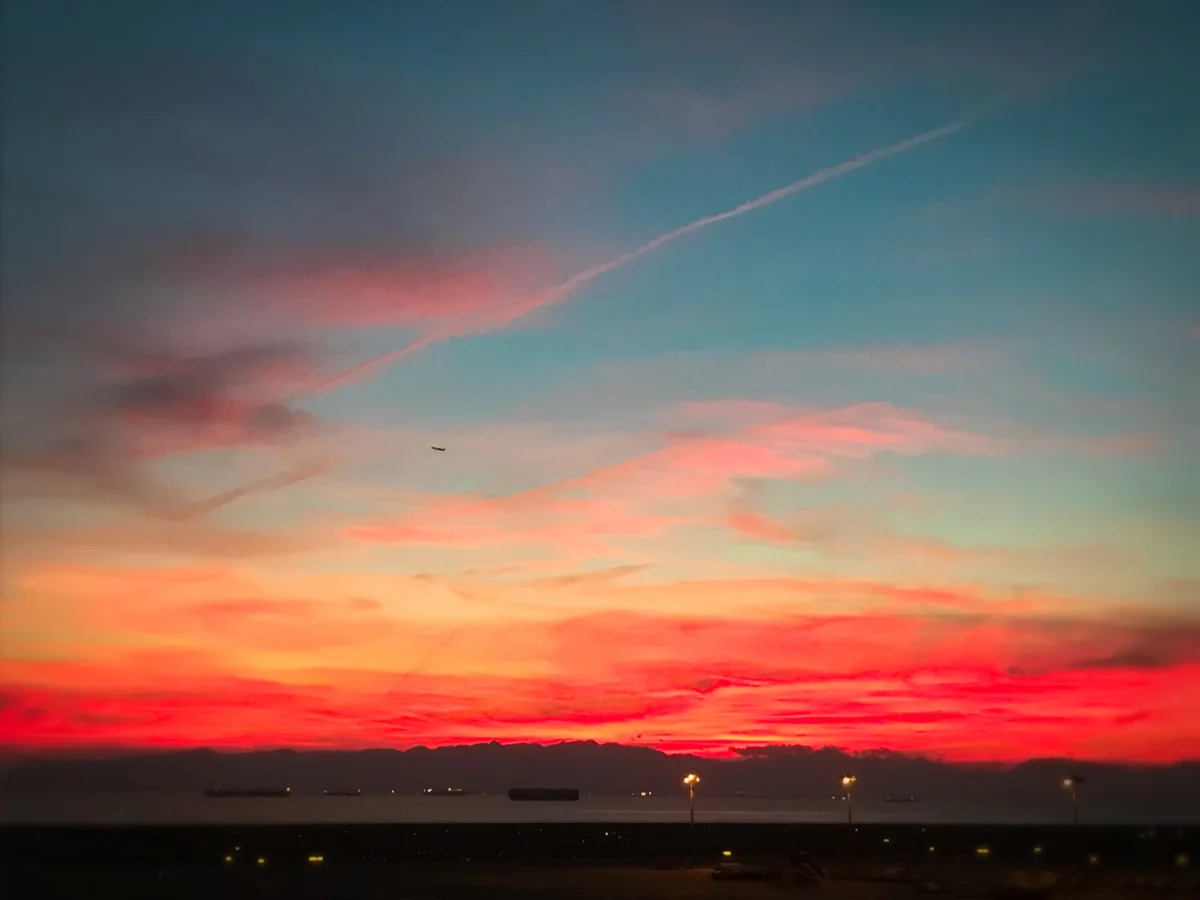 投稿写真：セントレア