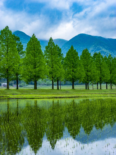  | 絶景事典