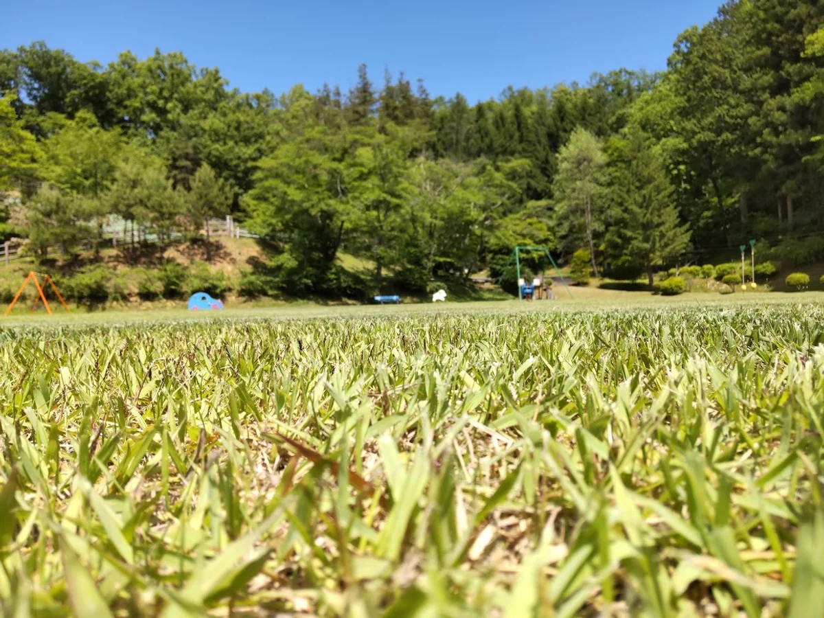 投稿写真：誰もいない公園