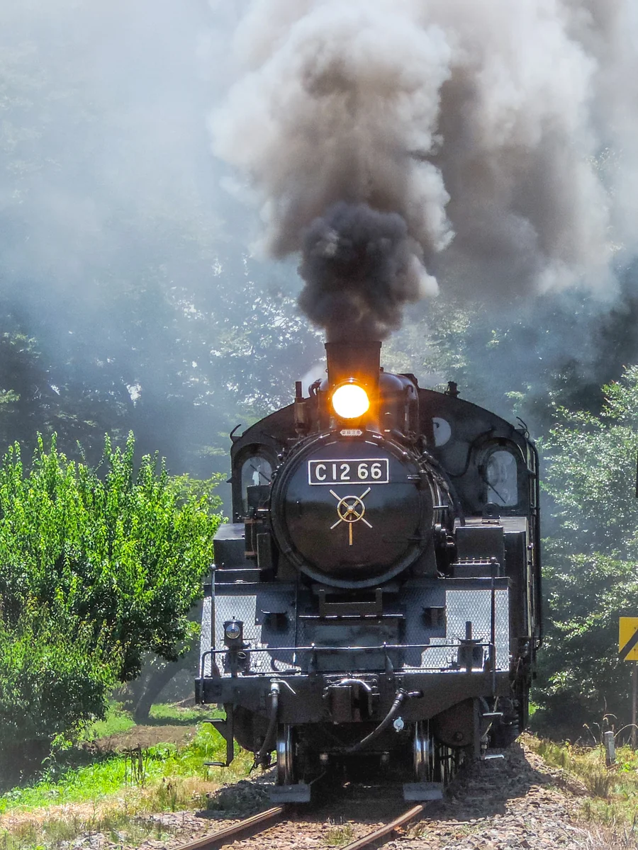 投稿写真：多田羅駅発車直後の下りSLもおか