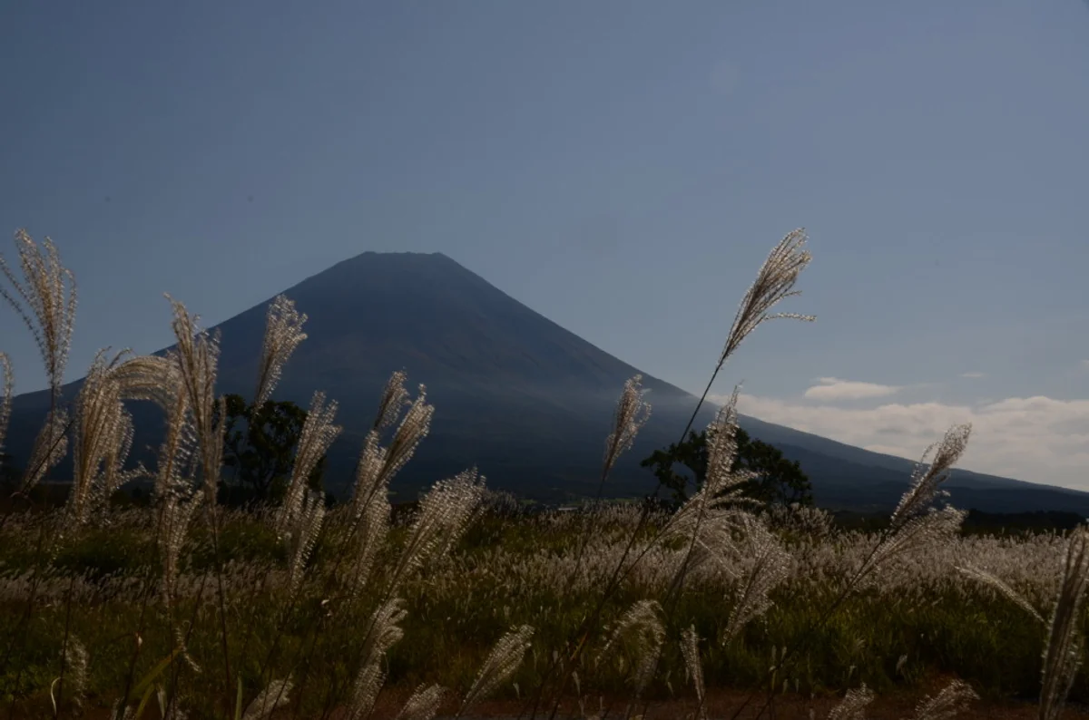 投稿写真：富士山　秋風景