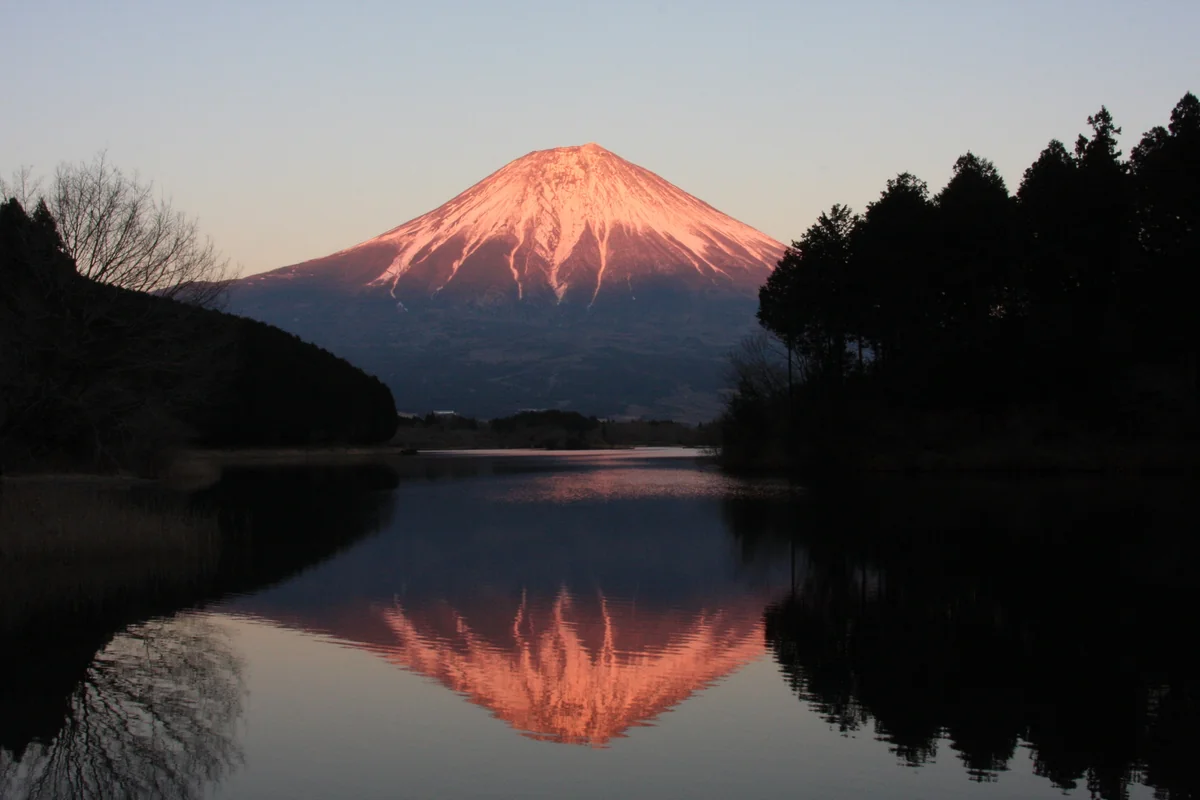投稿写真：紅富士リフレ