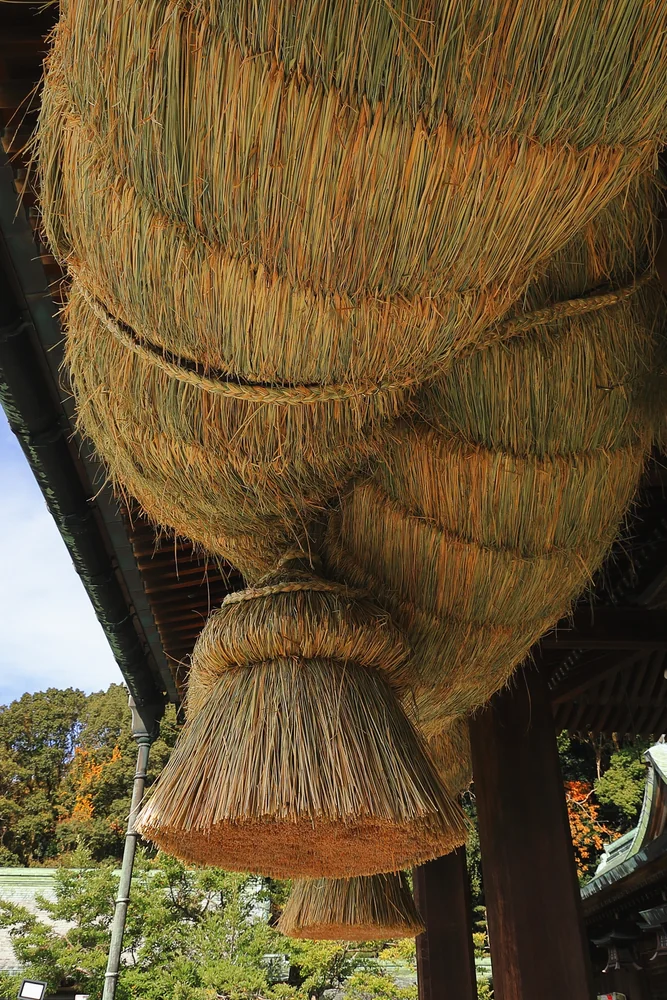 投稿写真：日本一の大注連縄