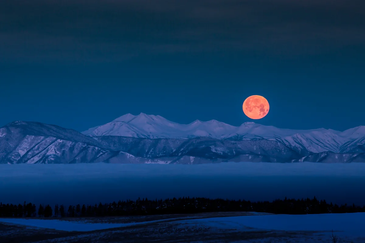 投稿写真：有明の月