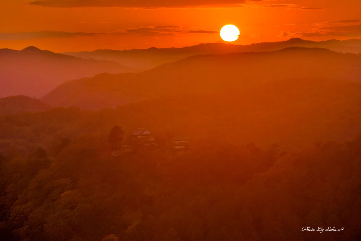 投稿写真：赤く染めて