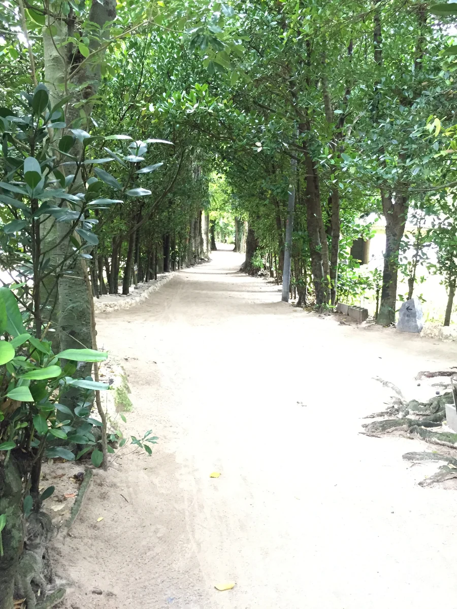 投稿写真：沖縄