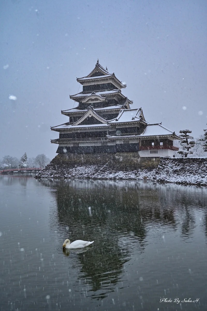 投稿写真：雪景色の松本城