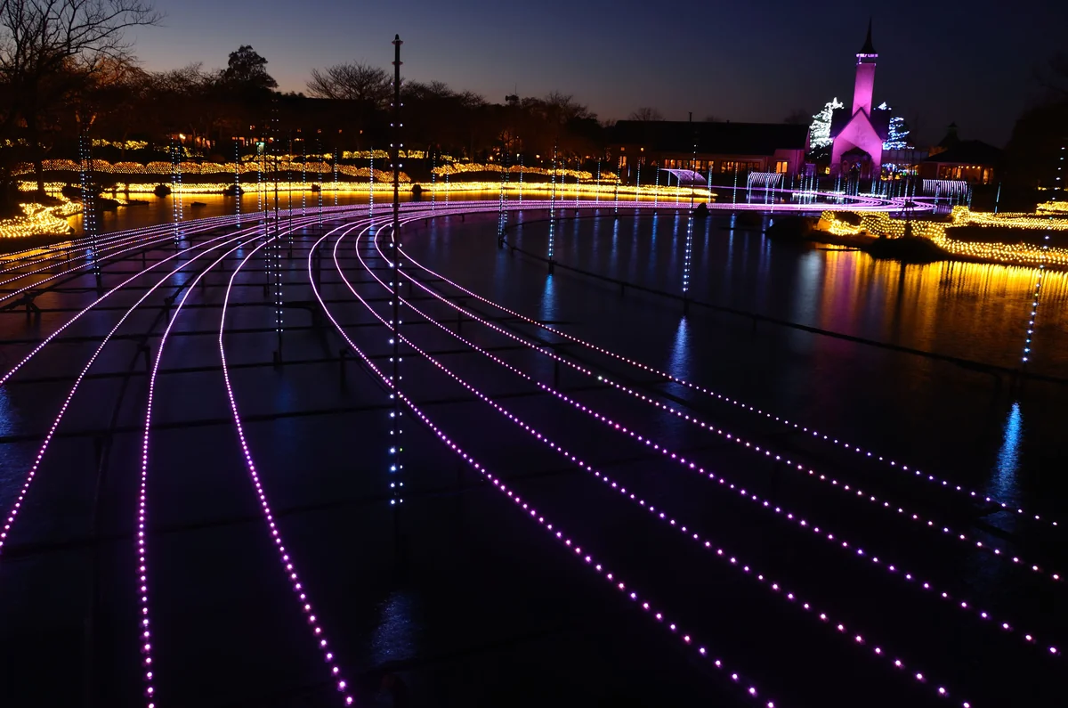 投稿写真：光りの川