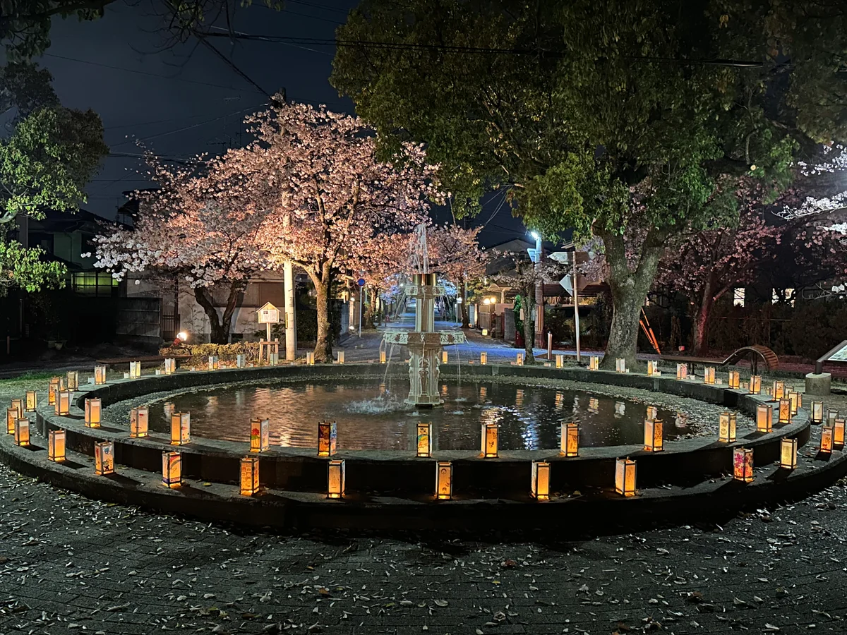 投稿写真：噴水とサクラ